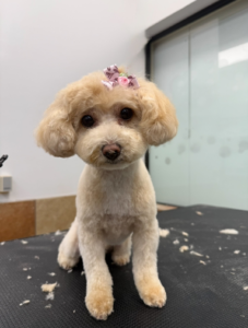 gallery10